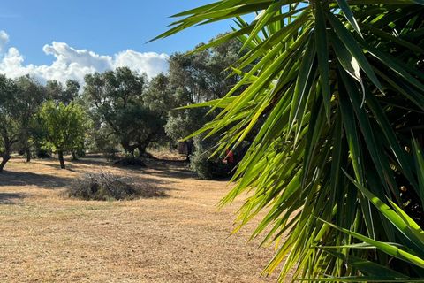 Landejendom i Ostuni, Brindisi, Ostuni - € 70.000 | Ref: 172708 - foto 8